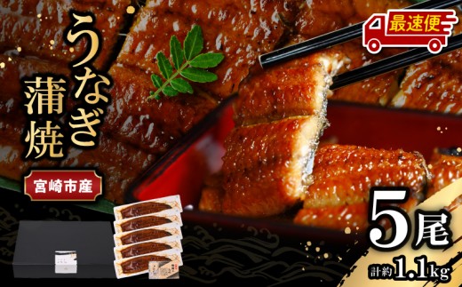 【最速便】【日時指定可能】宮崎県宮崎市産　うなぎの蒲焼　約1.1kg（約220g×5尾）タレ・山椒セット｜鰻 うなぎ ウナギ うなぎ蒲焼 鰻蒲焼 ウナギの蒲焼 宮崎県産 蒲焼 ギフト タレ 鰻のたれ うなぎのたれ 宮崎うなぎ 宮崎県 宮崎市｜_M325-012-2W