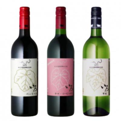 ふるさと納税 甲州市 まるき【いろシリーズ】計3本 いろベーリーA いろヤマ・ソービニオン いろ甲州 C-1652