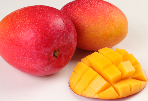 【2024年発送】徳之島 天城町産 完全無加温 完熟 マンゴー Ａ品 1kg 贈答