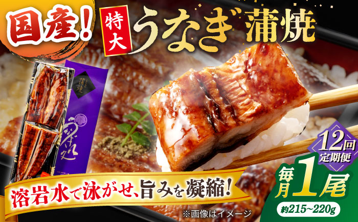 【12回定期便】うなぎ老舗専門店のパリっとふっくら国産うなぎ 蒲焼1尾(蒲焼のタレ付き) 島根県松江市/株式会社山美世商会 [ALDC009]