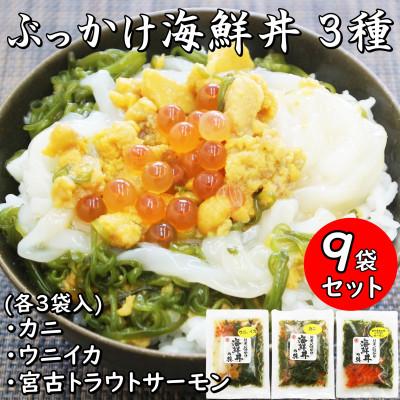 ふるさと納税 宮古市 メカブ・イクラ入り!川秀のぶっかけ海鮮丼の具(ウニイカ・カニ・宮古トラウトサーモン)計9袋冷凍セット