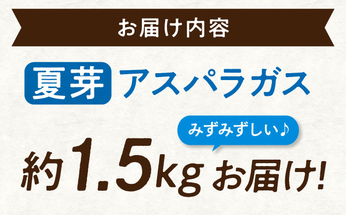 【スピード発送】 アスパラ （約1.5kg）先行予約 夏芽 アスパラガス 旬 野菜 グリーンアスパラ とれたて アスパラガス 朝採れ 三次市/福分アスパラ [APAU004]
