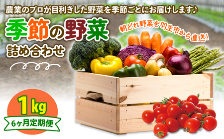 定期便 季節 野菜 詰め合わせ 1kg 6ヶ月 連続お届け 果物 産地直送 朝どれ 詰め合わせ とれたて 濃厚 ごほうびとまと 風の子ファーム ﾌﾙｰﾂﾄﾏﾄ ほうれんそう 白菜 ｷｬﾍﾞﾂ ﾌﾞﾛｯｺﾘｰ そら豆 ﾔﾝｸﾞｺｰﾝ とうもろこし ﾔﾝｸﾞｺｰﾝ 唐辛子 ﾊﾟﾌﾟﾘｶ 水 ﾅｽ ｵｸﾗ ｷｭｳﾘ ｶﾘﾌﾛｰﾚ 埼玉県 羽生市