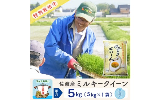 【新米予約 9か月定期便】佐渡島産ミルキークイーン 無洗米5Kg 令和7年 特別栽培米