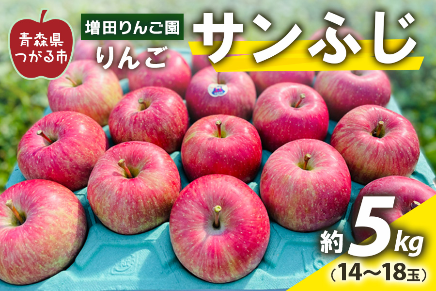 りんご サンふじ 約5kg (14玉から18玉) 青森産 つがる市【2026年11月下旬より順次発送】｜青森県産 津軽 つがる リンゴ 果物 フルーツ 青森 ふじ さんふじ サンフジ 青森りんご 令和