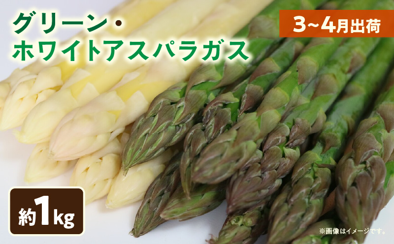 【先行予約】グリーン・ホワイトアスパラガス約1kg（3〜4月出荷）|アスパラ アスパラガス ホワイトアスパラガス 新鮮 春野菜 直送 グリーンアスパラガス|_mk002-002