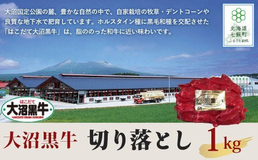 
             北海道ブランド牛大容量 大沼黒牛切り落とし（1kg） ふるさと納税 人気 おすすめ ランキング 北海道ブランド牛 大容量 大沼黒牛 切り落とし 1kg 大盛り おいしい 北海道 七飯町 送料無料 NAM008
          