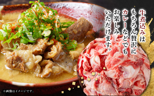 【毎月定期便】【飛騨牛】スジ肉 煮込み用 1kg 岐阜県産 黒毛和牛全3回【配送不可地域：離島】