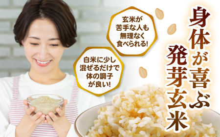 【期間限定】【3ヶ月連続お届け】【令和7年産】発芽玄米 特別栽培米 ミルキークイーン 3kg×3回（計9kg）発芽玄米  [E-2923]