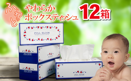 ティッシュ ペーパー 12箱 防災 備蓄 ティッシュ