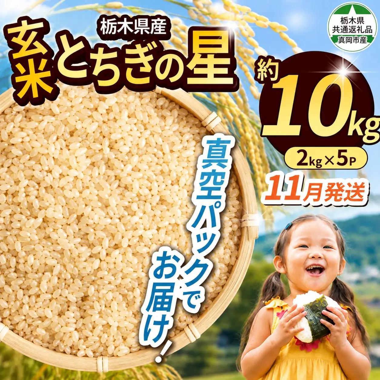 【栃木県共通返礼品】【先行予約】【11月発送分】令和8年度新米 栃木県産とちぎの星（玄米真空パック) 約2kg×5  |  栃木県 那珂川町 送料無料