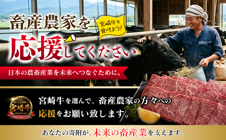 数量限定＜畜産農家応援＞【2026年10月お届け】宮崎牛 肩ロース（焼肉）計800g 国産 牛肉 期間限定【SC473-Y-10】 （焼肉）計800g【2026年10月お届け】