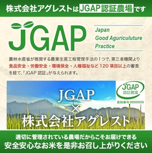 SE0289　12月中旬発送開始／【隔月6回定期便】無洗米はえぬき　5kg×6回(計30kg) 農家直送『いいあん米』 AG
