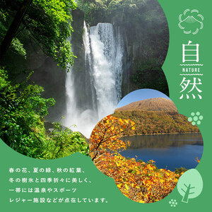K-416 鹿児島県霧島市の対象ツアーに使えるHISふるさと納税クーポン(60,000円分)【エイチ・アイ・エス】霧島市 旅行 ツアー 観光 トラベル 旅 チケット 電子クーポン 旅行券
