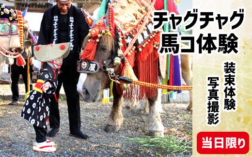 
            2026年 6月12日（金） チャグチャグ馬コ 写真撮影会 参加権 1組様 【滝沢市観光物産協会】 撮影 撮影会 記念撮影 体験 体験型 半纏貸出 レンタル イベント 参加 参加型 行事 伝統行事 子供 子ども 子供 親子 記念 観光 岩手 岩手県 滝沢 滝沢市 盛岡 盛岡市 風物詩 数量限定 チケット おすすめ
          