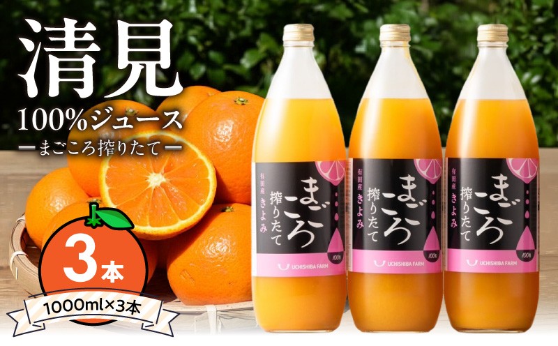 
                   搾りたて 清見100%ジュース 1000ml 3本 有田育ち 清見 清見オレンジ みかん あっさり 酸味 甘味 飲みやすい みかんジュース ジュース 飲料 常温 お取り寄せ 和歌山県 湯浅町 送料無料_ZE6522
                