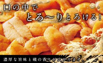 塩水キタムラサキウニ100g×3パック(2025年6月以降順次発送)  MATB014