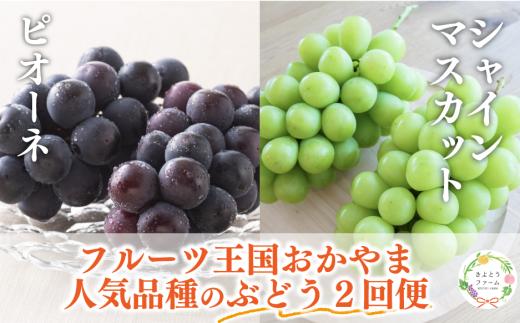 【2026年先行予約】ピオーネとシャインマスカット、特大２房入の２回便！(定期便) (岡山県産)【KF-T055-02】