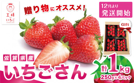 
【先行予約｜王様のいちご】佐賀県江北町産「いちごさん」1kg（250g×4パック）
