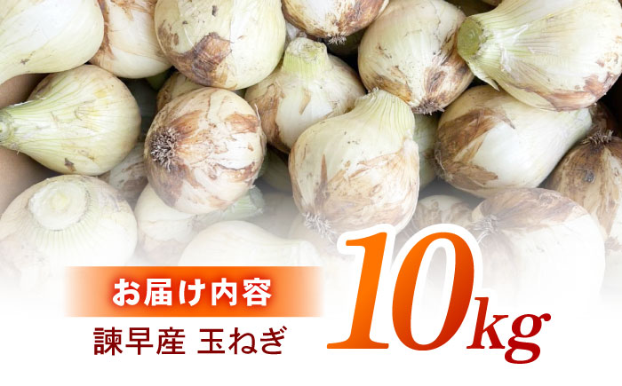 諫早産新玉ねぎ 10kg / 新玉ねぎ 玉ねぎ 玉葱 たまねぎ タマネギ 野菜 やさい 10kg 甘い / 諫早市 / 松尾農園 [AHAY029]