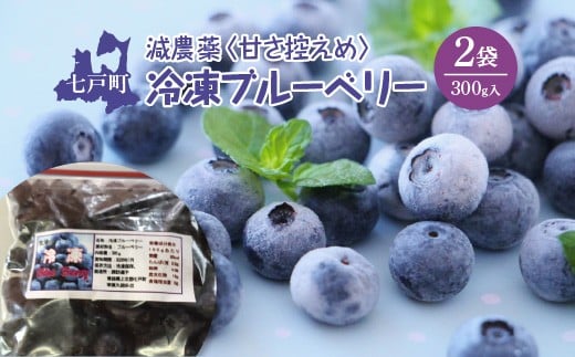 減農薬＜そのまま食べられる＞冷凍ブルーベリー（300ｇ）2袋セット　【02402-0431】