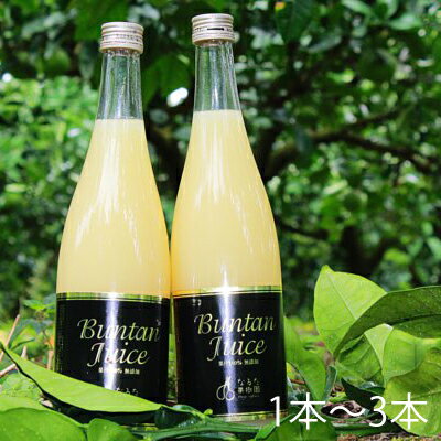 【ふるさと納税】成田果樹園 文旦ジュース 720ml 1本～3本 限定セット