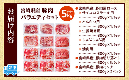 宮崎県産豚肉バラエティセット5kg 小間切れ 小分け バラエティセット