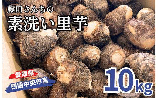 藤田さんちの素洗い里芋 （四国中央市産）10kg