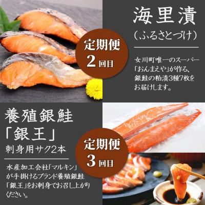 ふるさと納税 女川町 【3ヵ月毎定期便】大定番!女川の水産加工品セット全4回 |  | 02