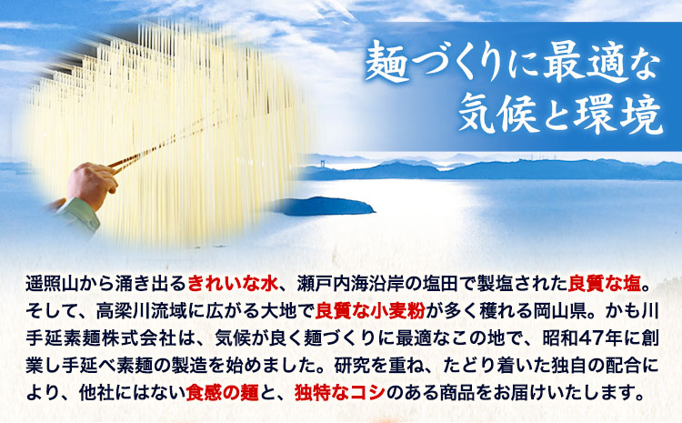 そうめん 白龍のひげ 〈 岡山県産小麦粉使用手延素麺 〉 50g × 35束 かも川手延素麺株式会社 《30日以内に発送予定(土日祝除く)》 ---124_15_30d_23_27000_35---