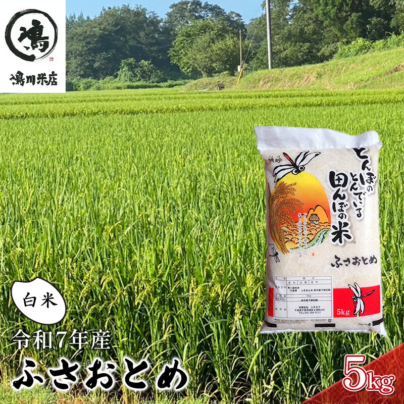 【ふるさと納税】新米　令和7年 ふさおとめ　白米　5kg 【 お米 精米 大粒 粘り気 ファン 】 千葉県