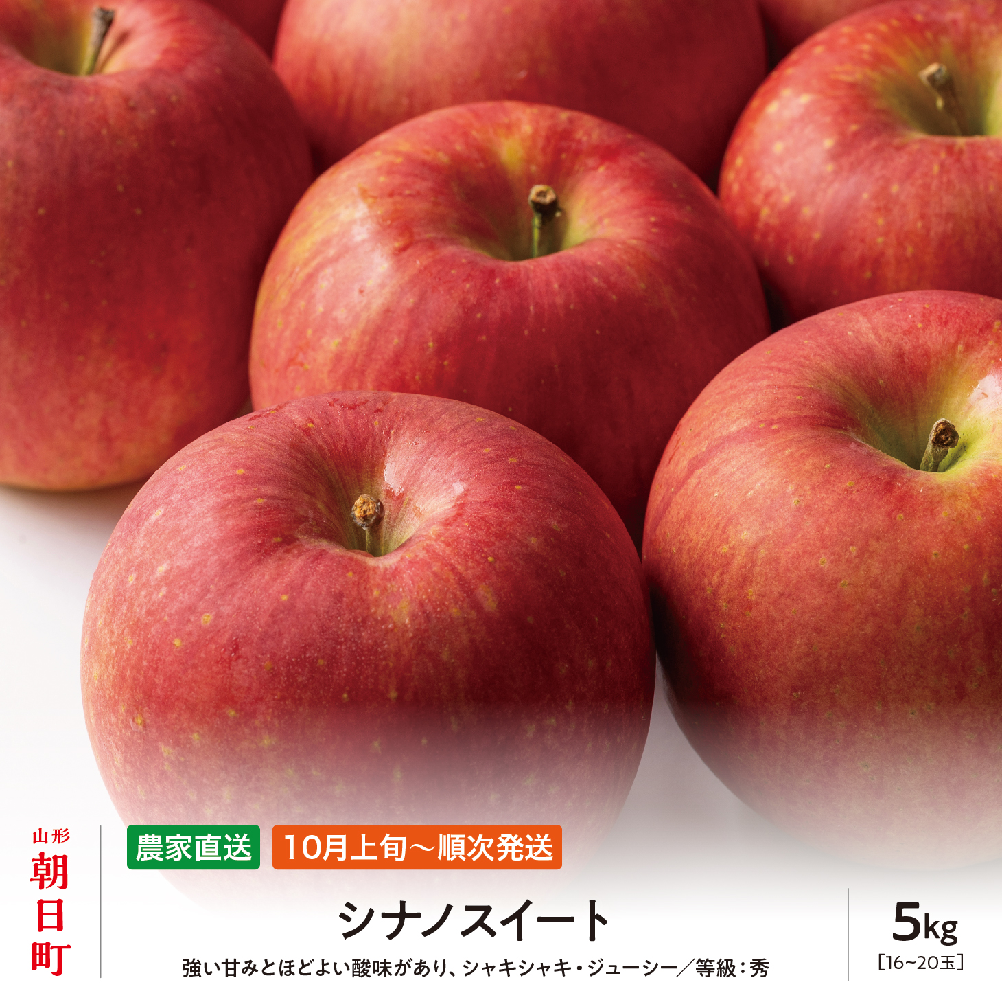 りんご シナノスイート 秀 5kg 16～20玉 【10月上旬発送】 農家直送 山形県 朝日町産 山形県産 果物 フルーツ リンゴ 林檎 秋 産地直送 先行予約