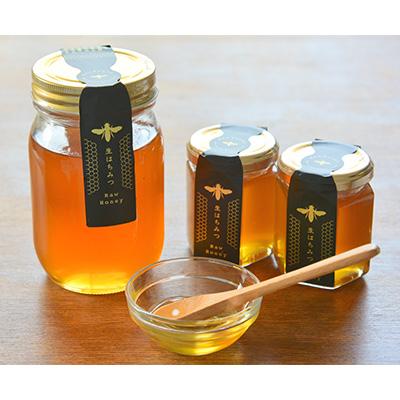 ふるさと納税 下田市 下田産ローハニー(生はちみつ)3本セット |  | 01