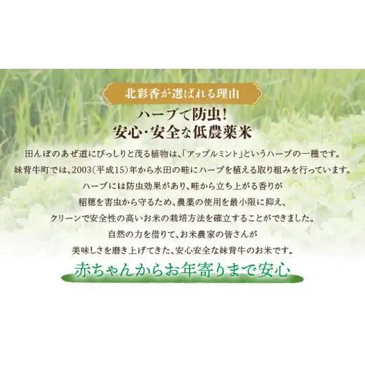 令和8年産 ゆめぴりか 玄米 20kg  【北彩香】