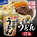 【ふるさと納税】 すぐ届く 吉田のうどん 12個入り カップ麺 マルちゃん セット お楽しみ アウトドア インスタント 非常食 富士吉田