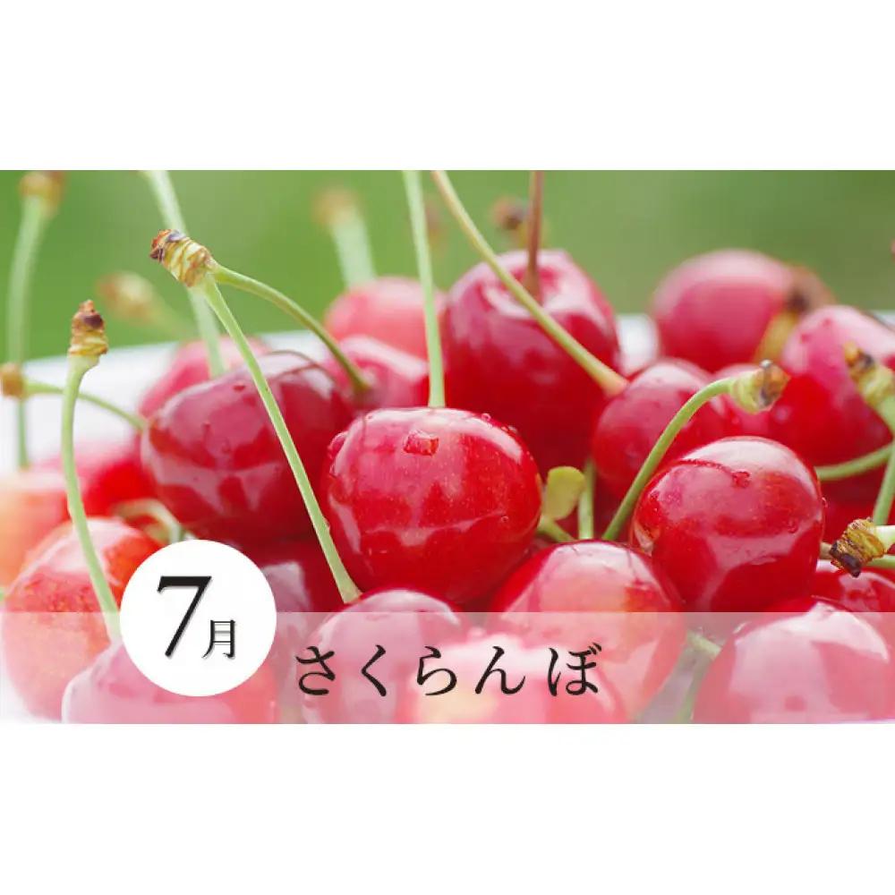 矢島農園　 長野市産 〇季節のフルーツ〇8月～10月定期便　桃・シャインマスカット・シナノスイート ※オンライン限定　 |桃 ぶどう りんご