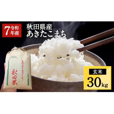 ふるさと納税 湯沢市  秋田県湯沢市産 あきたこまち 玄米 30kg[O5-15701]