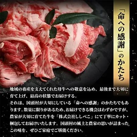 【ふるなびWEEK対象】やんばるの自然が育んだ「黒毛和牛 経産牛」切り落とし 合計1kg(500g×2パック)【配送不可地域：離島】【1716771】