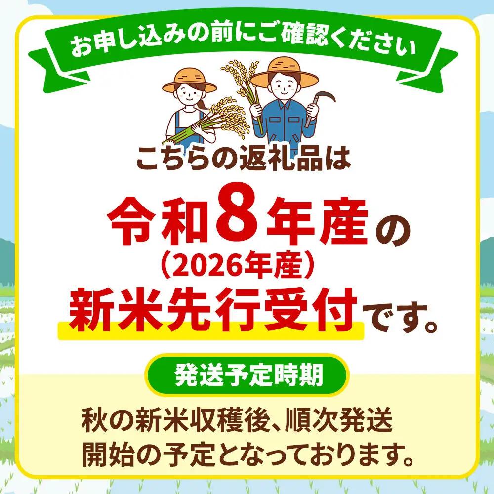 《令和8年産 新米受付》定期便10ヶ月》 米 あきたこまち 10kg（5kg×2袋） 【白米】 秋田県産