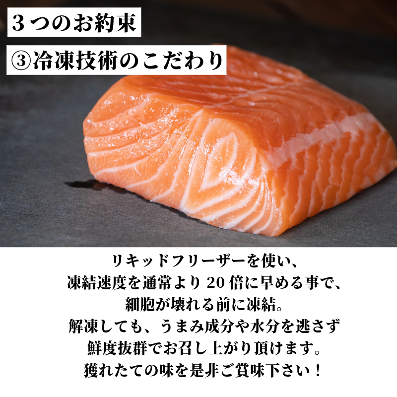 アトランティックサーモン 計900g（切り落とし付き） アトランティックサーモン さけ サケ 魚 ふるさと 海鮮 海鮮食品 魚介類 魚介 刺身 カルパッチョ ムニエル レア焼き 食べ方いろいろ 送料無