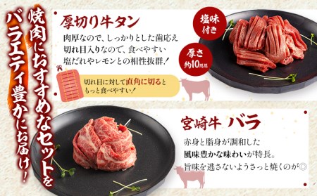 宮崎県産牛豚鶏&牛タン 焼肉セット 計1.4kg