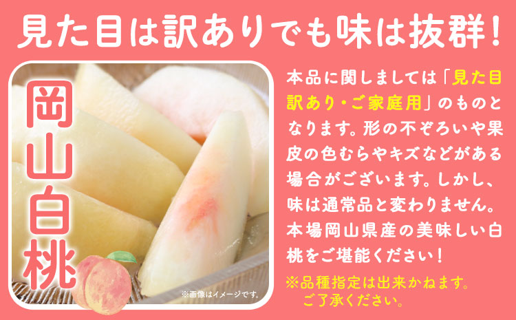 【2025年先行予約】ご家庭用 岡山白桃 約1.3kg (4~6玉前後) 赤木農園 《2025年7月上旬-8月中旬頃出荷》 岡山県 浅口市 フルーツ モモ 果物 青果 旬 白桃 桃 【配送不可地域あり