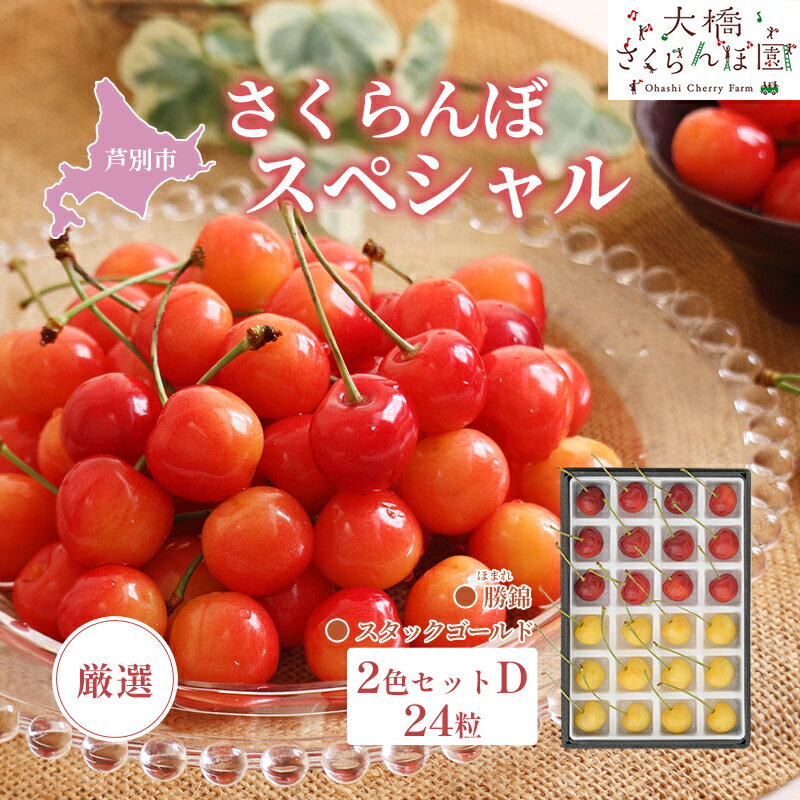 【ふるさと納税】【先行受付】厳選さくらんぼスペシャル2色D 24粒（赤・黄）勝錦・スタックゴールド 果物類 フルーツ チェリー 　お届け：2026年8月上旬頃～