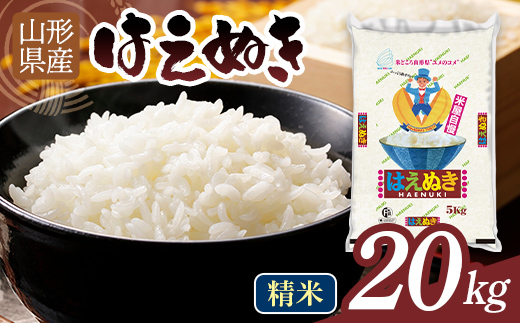 令和7年度 山形県産 はえぬき 20kg 白米 精米 ご飯 ごはん 国産 ブランド米 食品 山形県 西川町 月山 FYN1-323