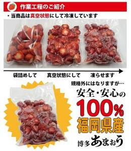 訳あり！ 博多和牛 切り落とし ＆ あまおう セット 1.3kg 牛肉 和牛 いちご