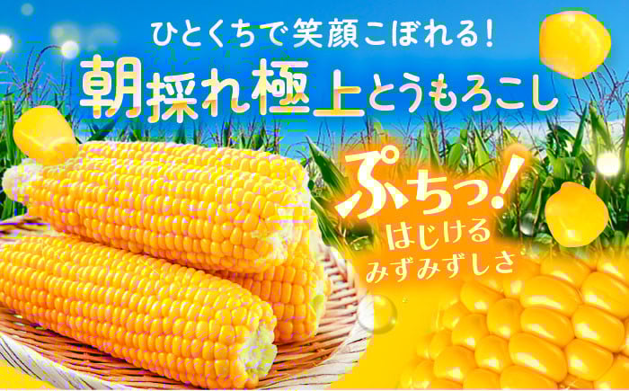 ひとくちで笑顔こぼれる！朝どれ極上とうもろこし 「ぷちっ！はじけるみずみずしさ」