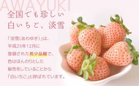 熊本玉名 白いちご「淡雪」(大玉限定400g)《化粧箱付》