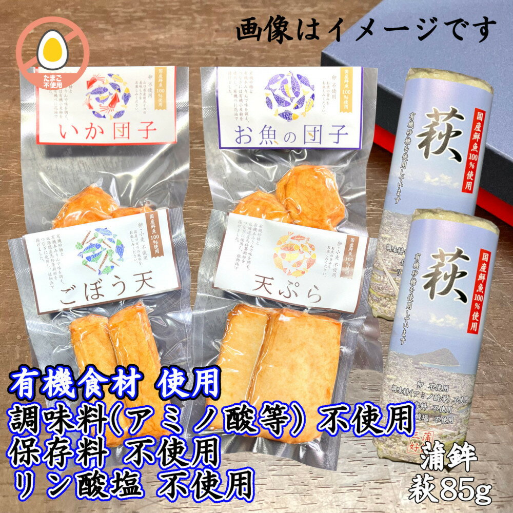 【ふるさと納税】【保存料・調味料(アミノ酸等)・リン酸塩 不使用】焼き抜き蒲鉾&揚げ蒲鉾の詰合せ2
