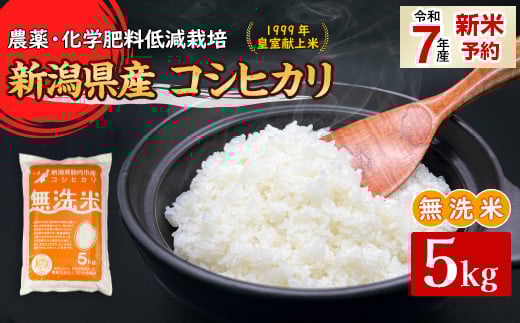 16-M051新潟県胎内市産コシヒカリ【無洗米】5kg