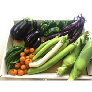 【発送月固定定期便】『旬なお野菜をお届け!』約10種類お野菜詰め合わせセットをお届けします!全2回【配送不可地域：離島】【4067224】